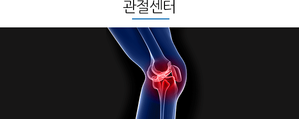 관절 센터